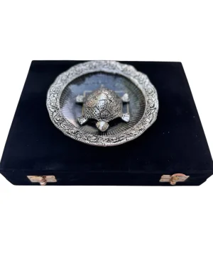 Silver Turtle in Bowl