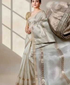Champagne Gold Tissue Organza Saree with Designer Blouse